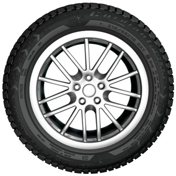 195/65R15 Polar 2 91T шип.